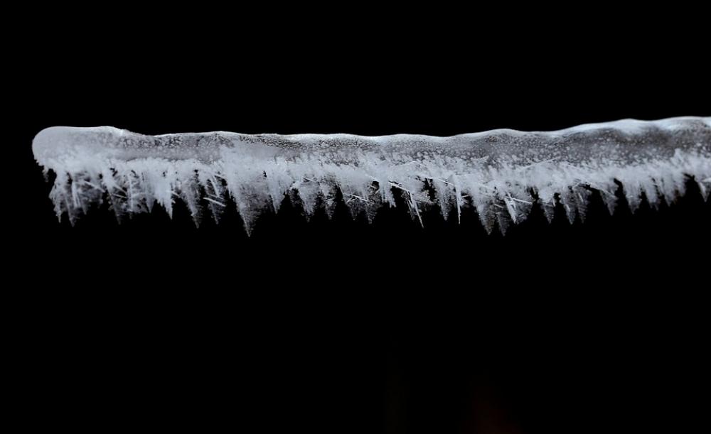 Frozen Snow Winter Icicles Frost Frozen Snow Winter Icicles Frost