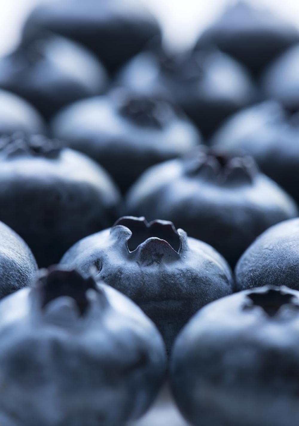 Fruit Blueberry Food Closeup Juicy Antioxidant Fruit Blueberry Food Closeup Juicy Antioxidant
