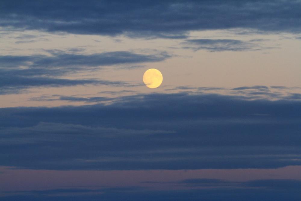 Full Moon Vancouver Island Harvest Moon Full Moon Vancouver Island Harvest Moon