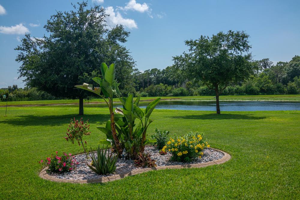 Garden Pond Sky Flowers Nature Water Blossom Garden Pond Sky Flowers Nature Water Blossom