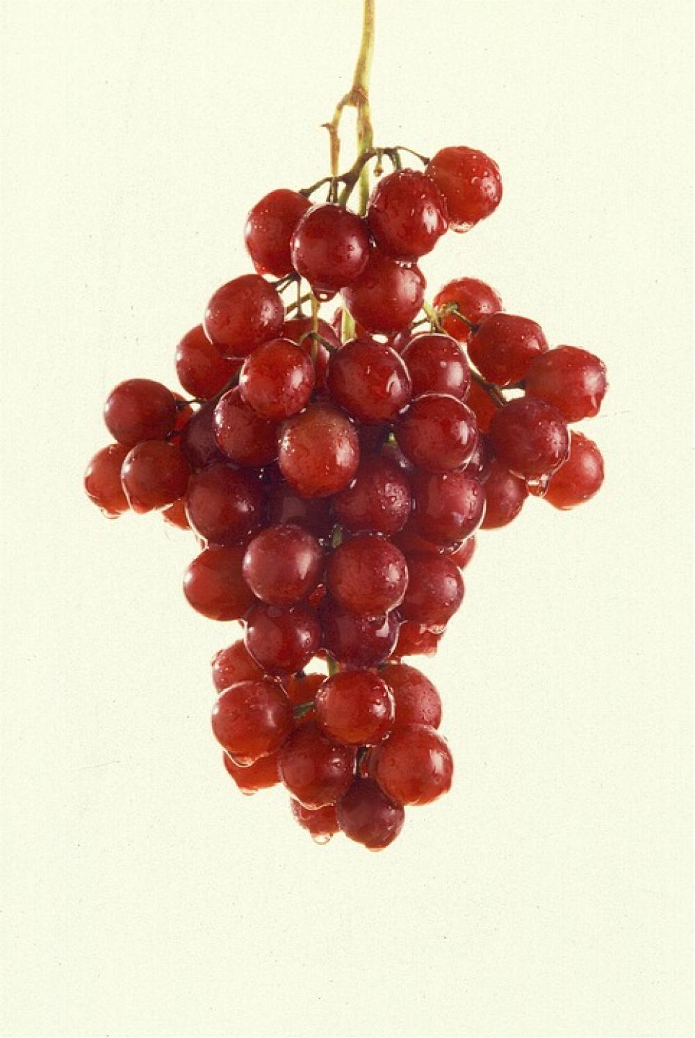 Grapes Autumn Seedless Light Green Agriculture Grapes Autumn Seedless Light Green Agriculture