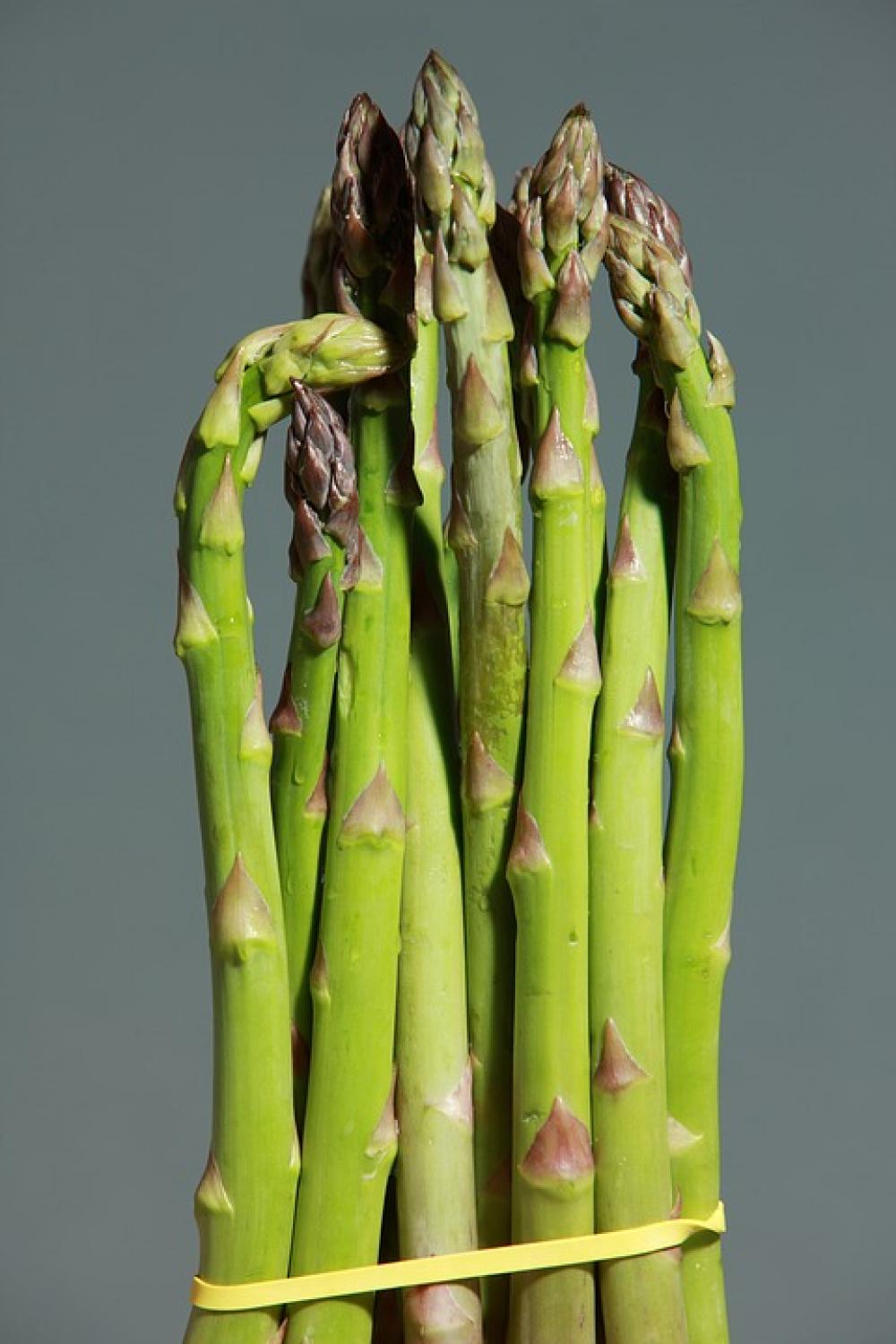 Green Asparagus Asparagus Green Vegetables Eat Green Asparagus Asparagus Green Vegetables Eat
