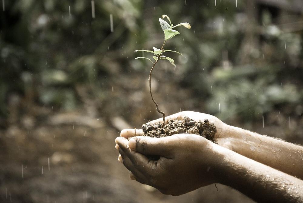 Hands Macro Nature Outdoors Plant Rain Soil Life Hands Macro Nature Outdoors Plant Rain Soil Life