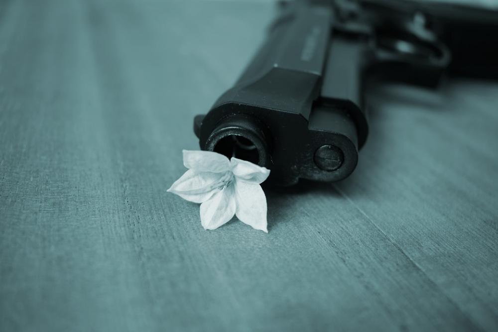Harmony Peace Pistol War Harmony Peace Pistol War