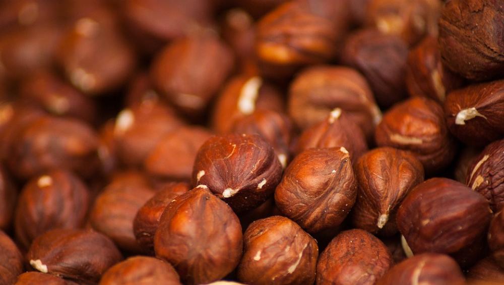 Hazelnuts Hazel Nuts Dried Protein Food Snack Hazelnuts Hazel Nuts Dried Protein Food Snack