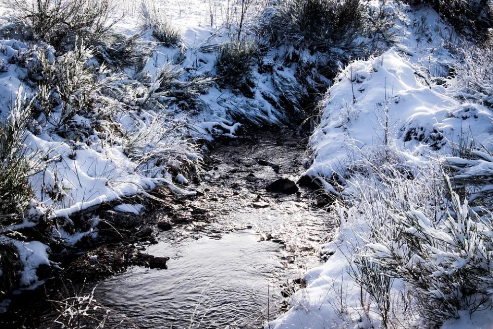 High'Fagne Belgium Nature Ardennes Snow High'Fagne Belgium Nature Ardennes Snow