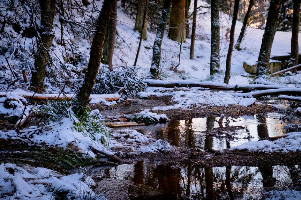 High'Fagne Belgium Nature Ardennes Snow High'Fagne Belgium Nature Ardennes Snow