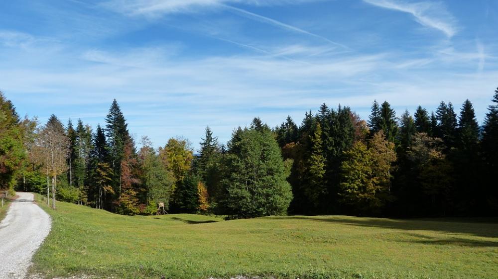 Hike Mountains Landscape Mountain Nature Forest Hike Mountains Landscape Mountain Nature Forest