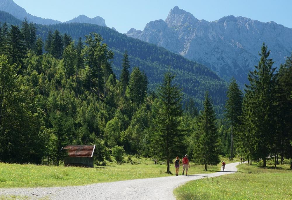 Hiking Mtb Forest Mountains Sunshine Hut Hiking Mtb Forest Mountains Sunshine Hut