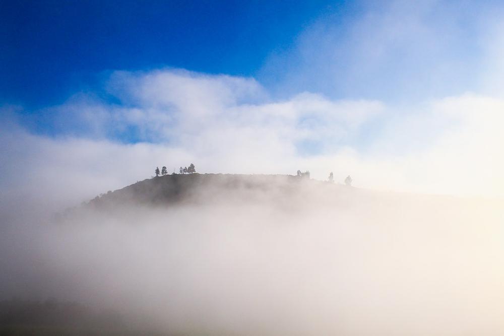 Hilly Countryside Highland Trees Plant Nature Fog Hilly Countryside Highland Trees Plant Nature Fog