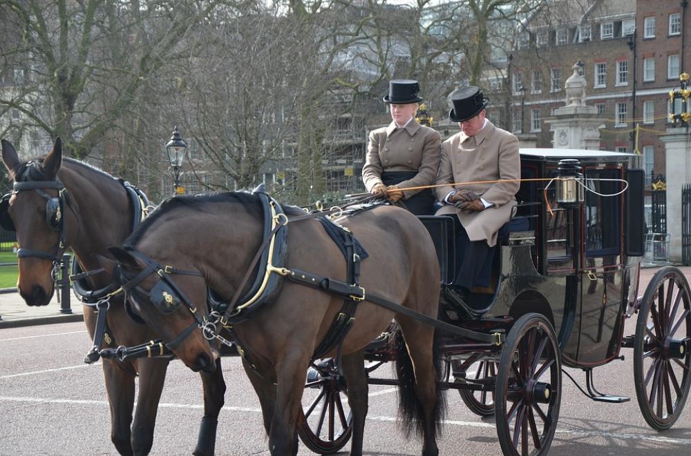 Horses Carriage Horse Transport Romantic Horses Carriage Horse Transport Romantic