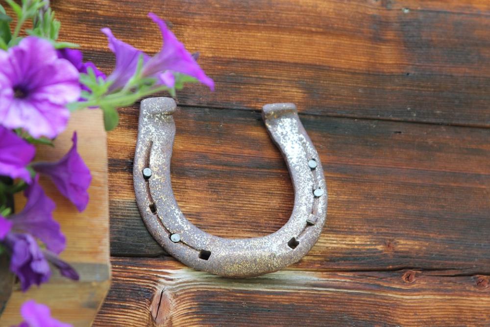 Horseshoe Alpine Hut Lucky Charm Luck Horse Ride Horseshoe Alpine Hut Lucky Charm Luck Horse Ride