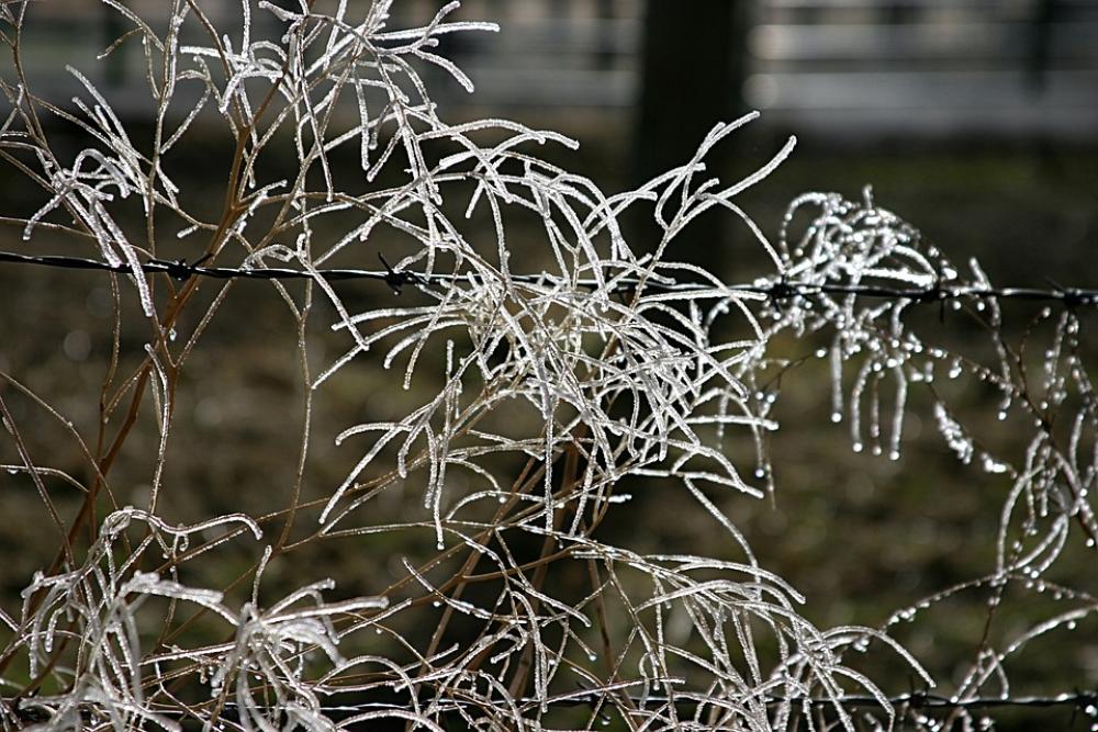 Ice Winter Cold Landscape Nature Frost Wintry Ice Winter Cold Landscape Nature Frost Wintry