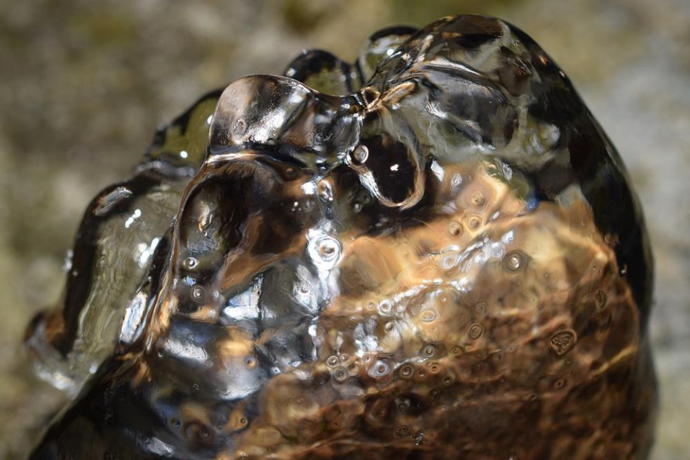 Ice Green Bubble Cold Winter Ice Green Bubble Cold Winter
