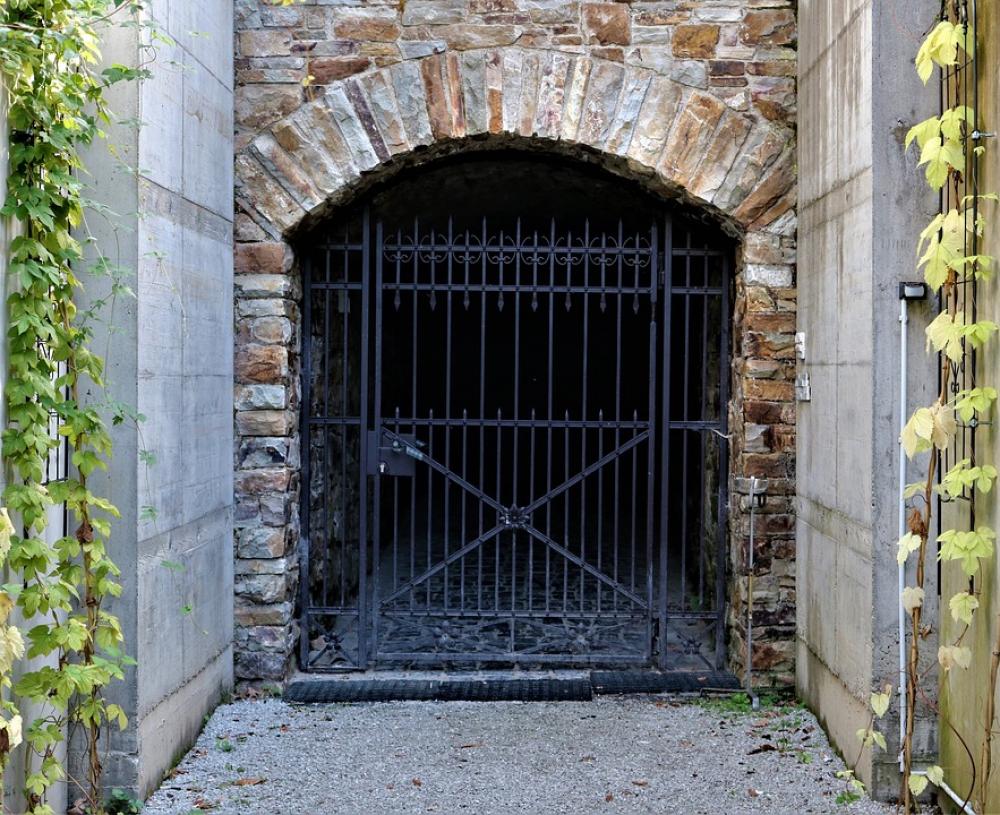 Iron Gate Input Metal Old Castle Dark Plant Green Iron Gate Input Metal Old Castle Dark Plant Green