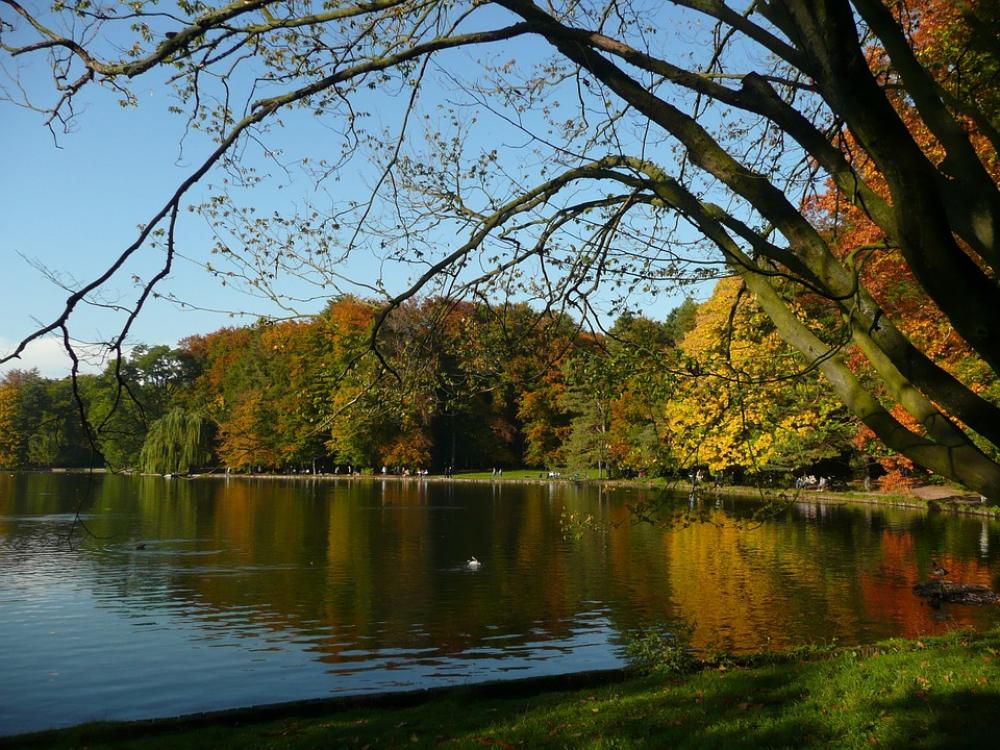 Lake Autumn Fall Nature Water Sky Season Lake Autumn Fall Nature Water Sky Season
