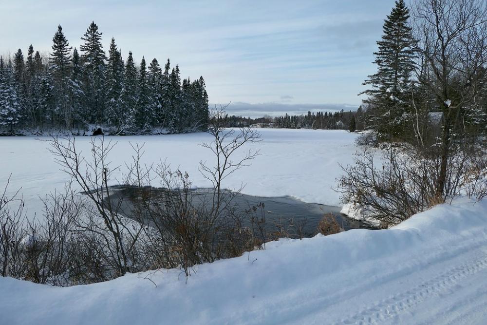 Landscape Winter Nature Snow Cold Gel Trees Fir Landscape Winter Nature Snow Cold Gel Trees Fir