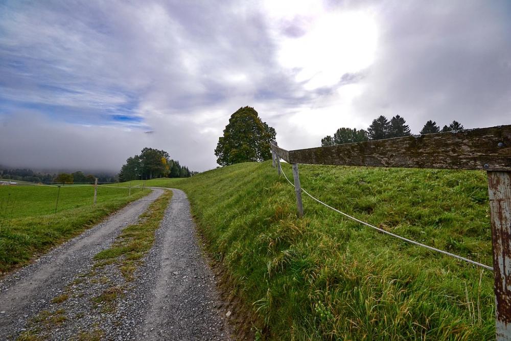 Landscape Meadow Rural Road Landscape Meadow Rural Road