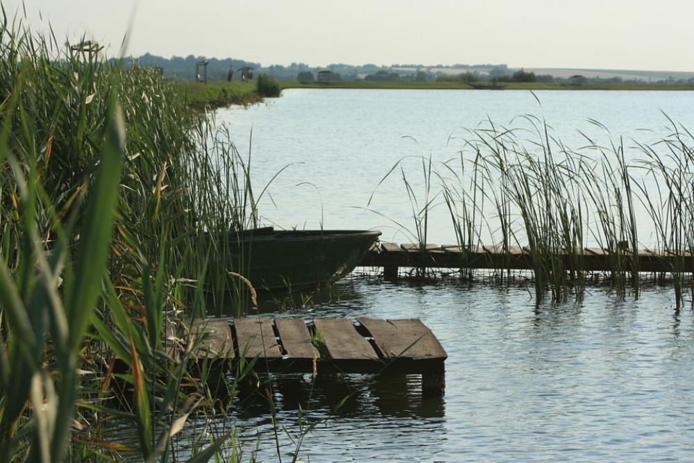 Landscape Lake Waterfront Lakeside Landscape Lake Waterfront Lakeside