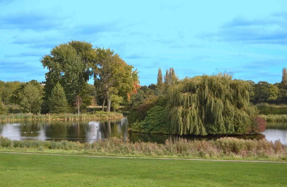 Landscapes Country Parks Cusworth Doncaster Landscapes Country Parks Cusworth Doncaster