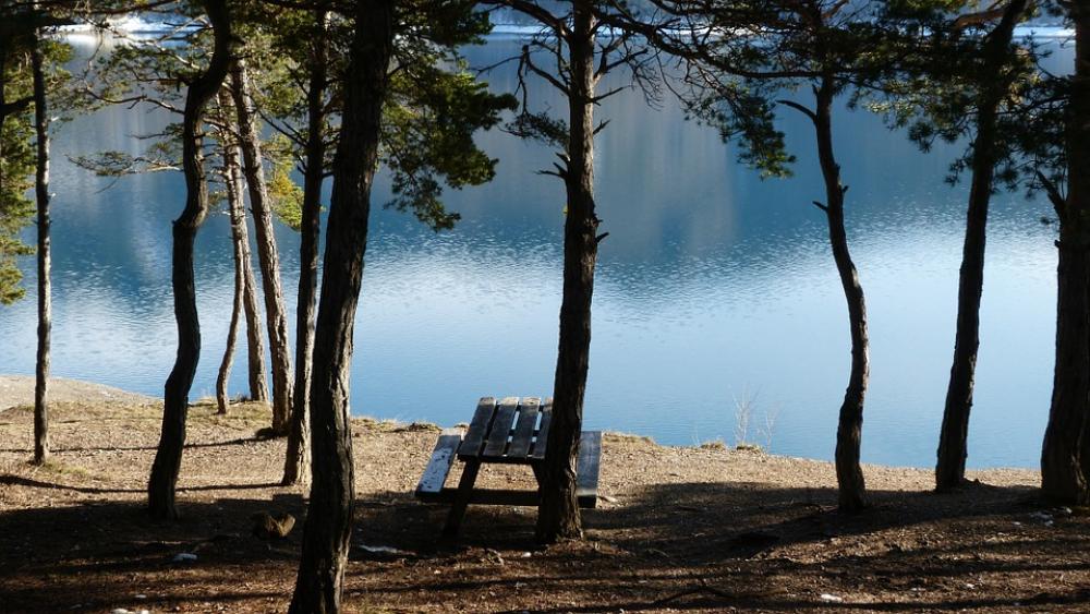 Landscapes Nature Water Lake Trees Light And Shade Landscapes Nature Water Lake Trees Light And Shade