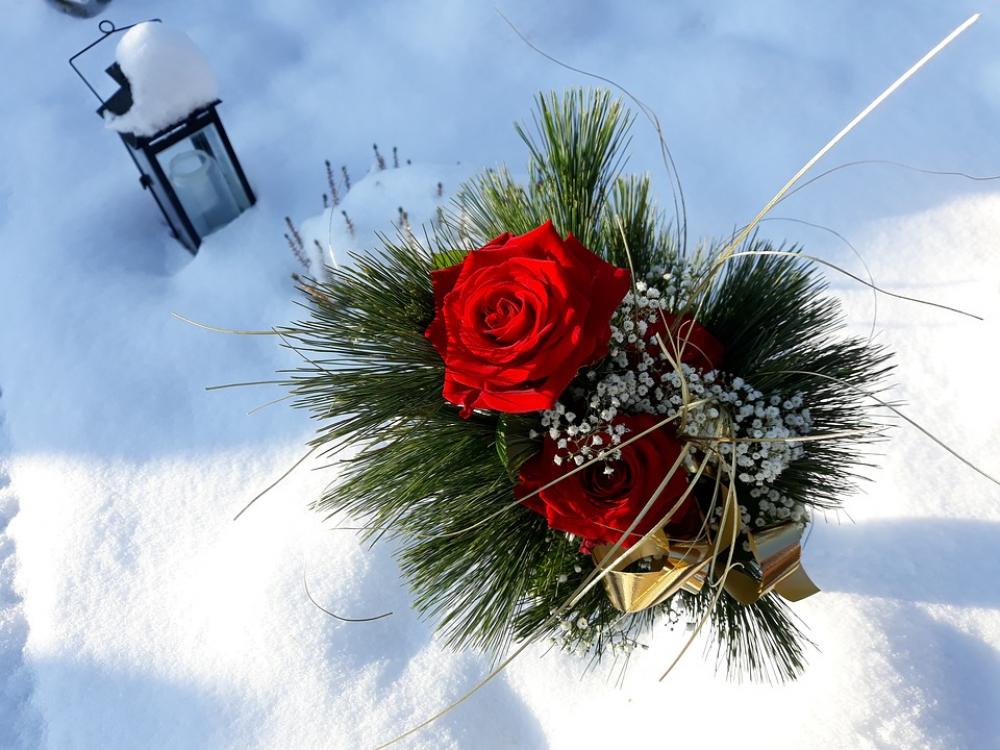 Lantern Snow Christmas Christmas Images Rose Red Lantern Snow Christmas Christmas Images Rose Red