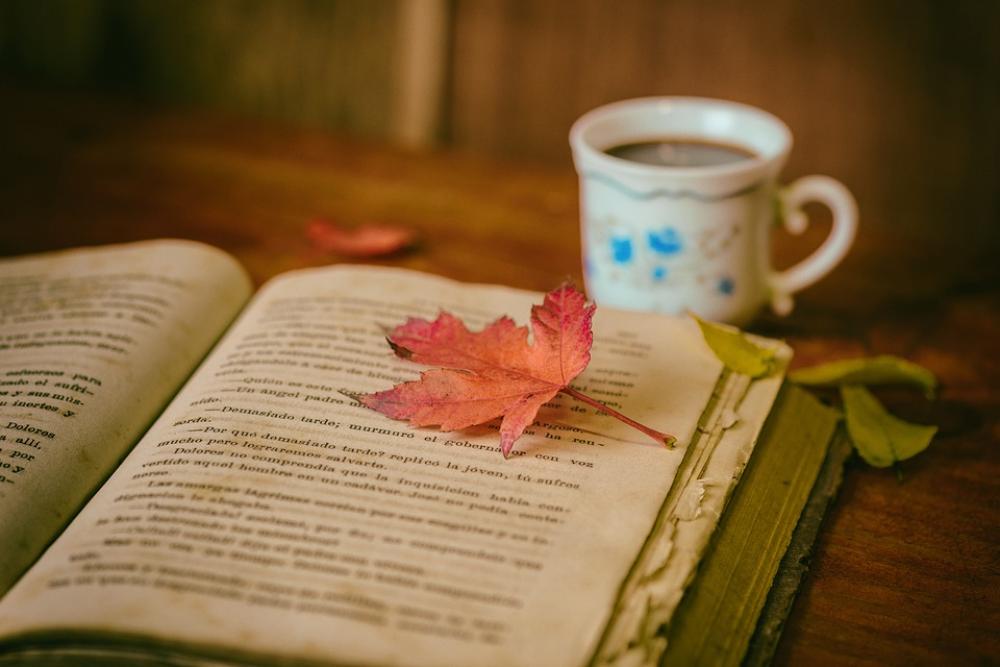 Leaves Books Color Coffee Cup Still Life Book Leaves Books Color Coffee Cup Still Life Book