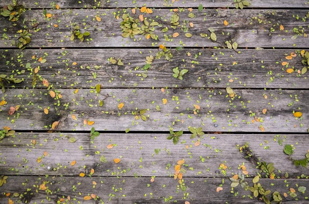 Leaves Wooden Boards Wood Wall Background Natural Leaves Wooden Boards Wood Wall Background Natural