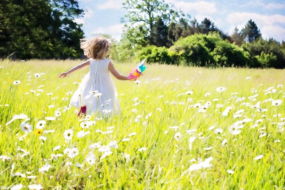 Little Girl Running Daisies Nature Grass Summer Little Girl Running Daisies Nature Grass Summer
