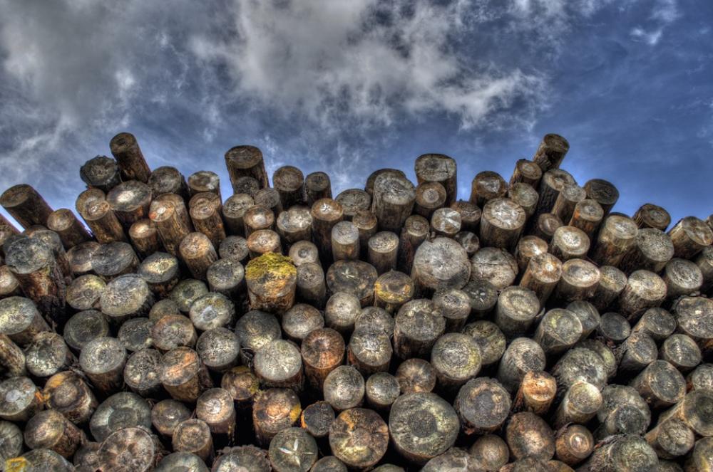 Logs Wood Timber Lumber Woodpile Forestry Logging Logs Wood Timber Lumber Woodpile Forestry Logging