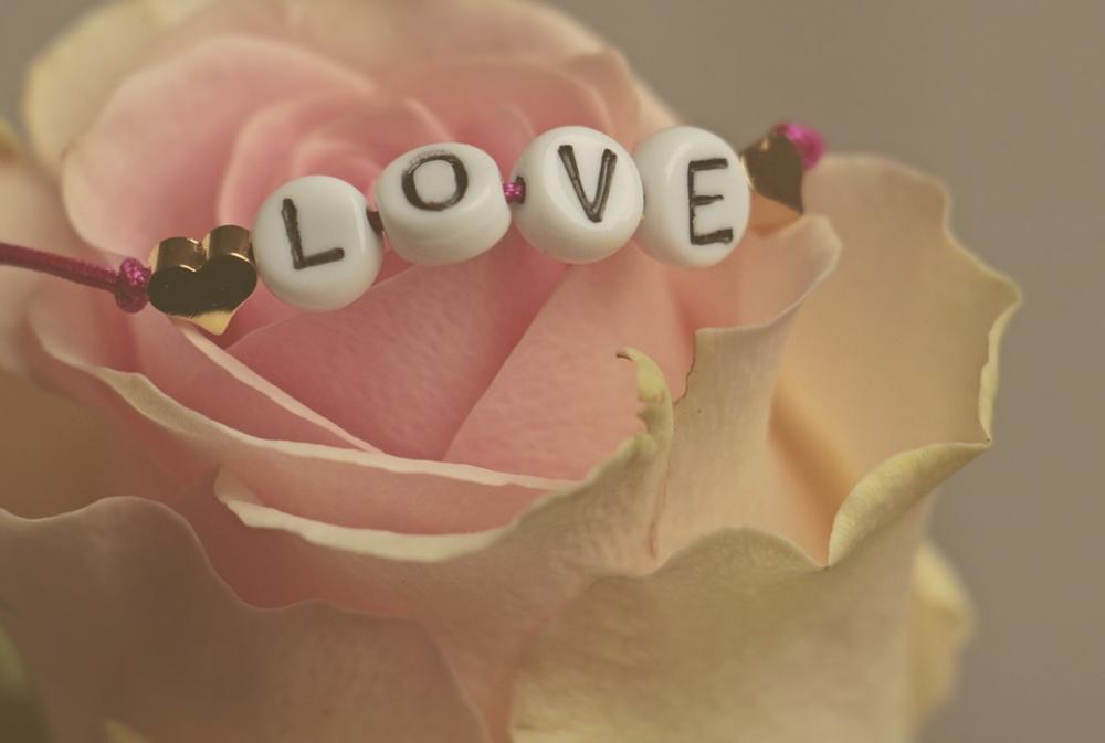 Love Rose Flower Feelings Romantic Luck Mood Love Rose Flower Feelings Romantic Luck Mood