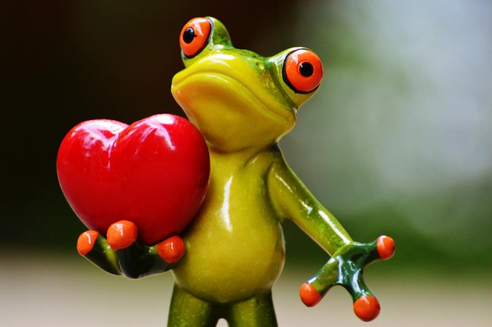 Love Valentine'S Day Pose Heart Funny Frog Animal Love Valentine'S Day Pose Heart Funny Frog Animal