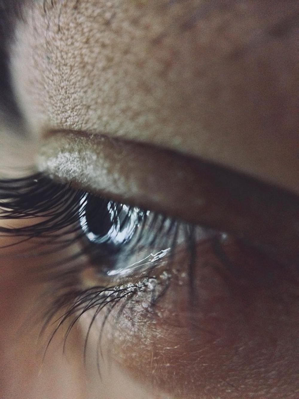 Macro Eye Skin Human Eyebrows Portrait Closeup Macro Eye Skin Human Eyebrows Portrait Closeup