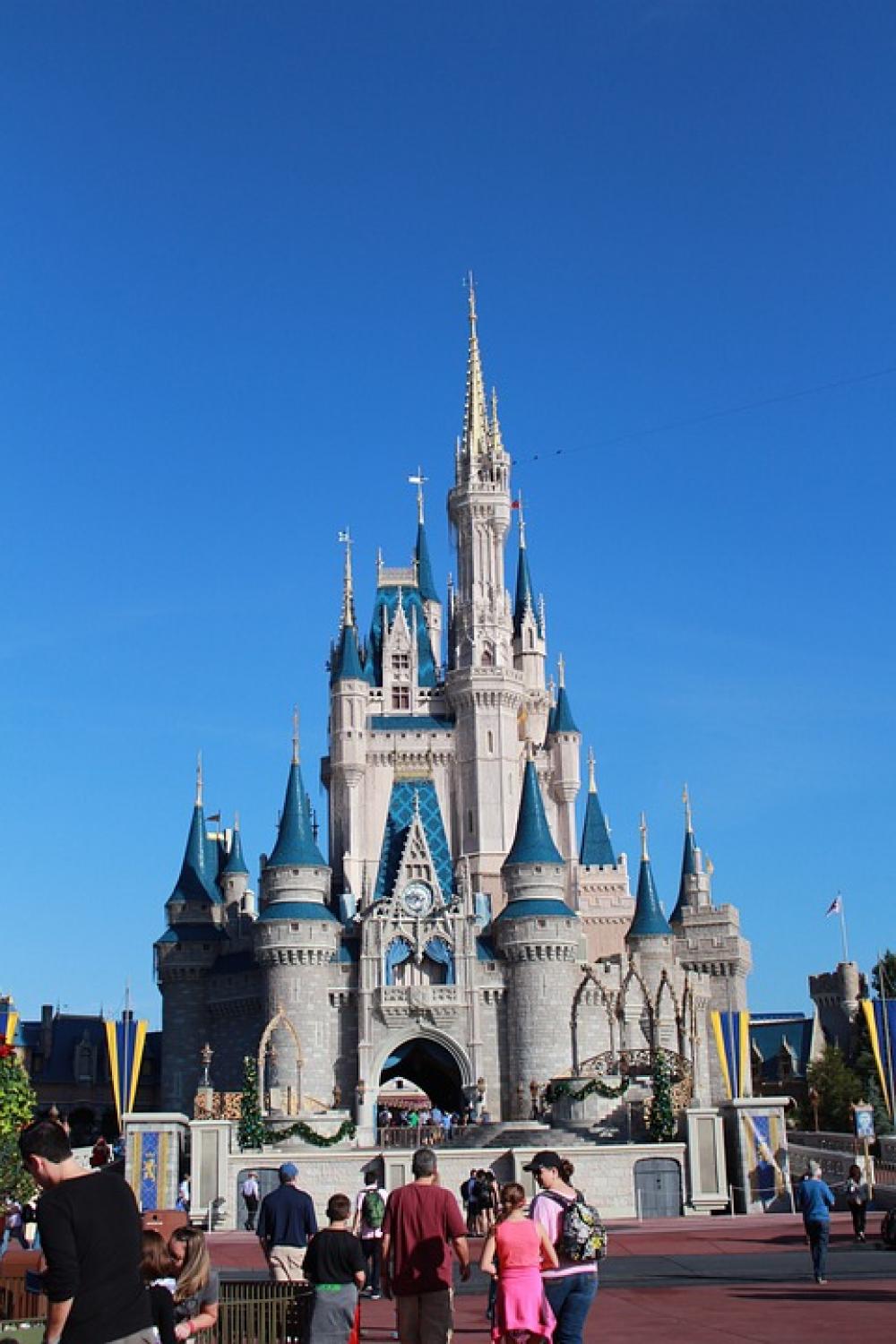 Magic Kingdom Disney Orlando Theme Park Castle Magic Kingdom Disney Orlando Theme Park Castle