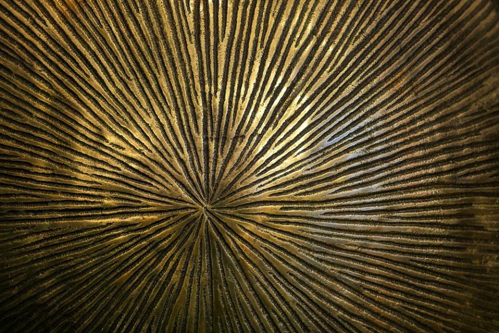 Metal Iron Pattern Golden Rays Close Up Ridge Metal Iron Pattern Golden Rays Close Up Ridge