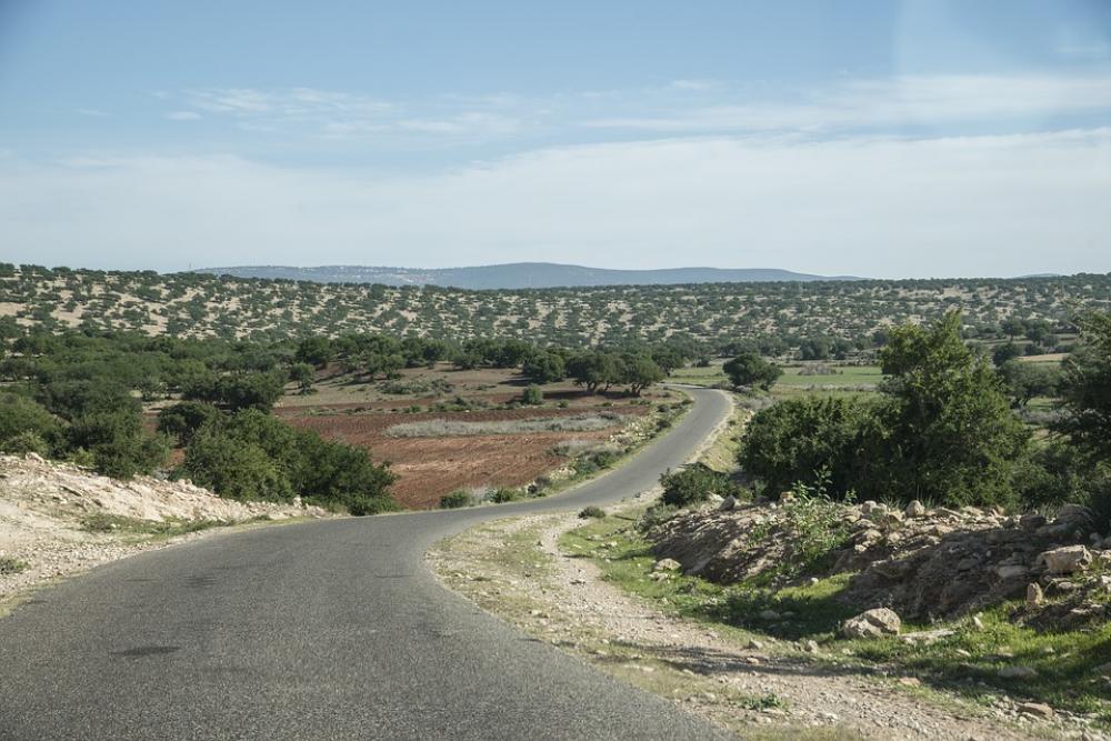 Morocco Road Trees Argan Oil Landscape Rural Sky Morocco Road Trees Argan Oil Landscape Rural Sky