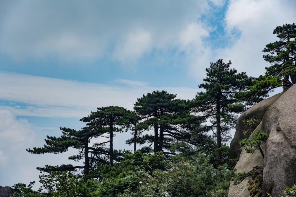 Mountain Tianzhu Mountain Cloud Day The Scenery Mountain Tianzhu Mountain Cloud Day The Scenery