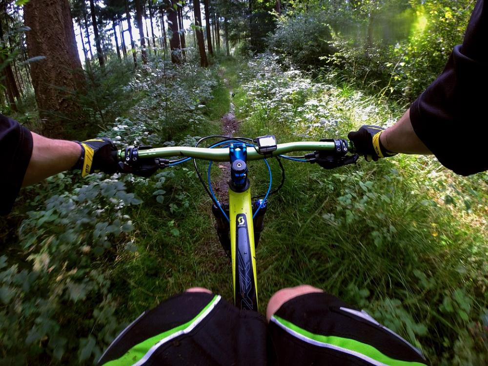 Mountain Bike Sport Forest Nature Forest Path Mountain Bike Sport Forest Nature Forest Path