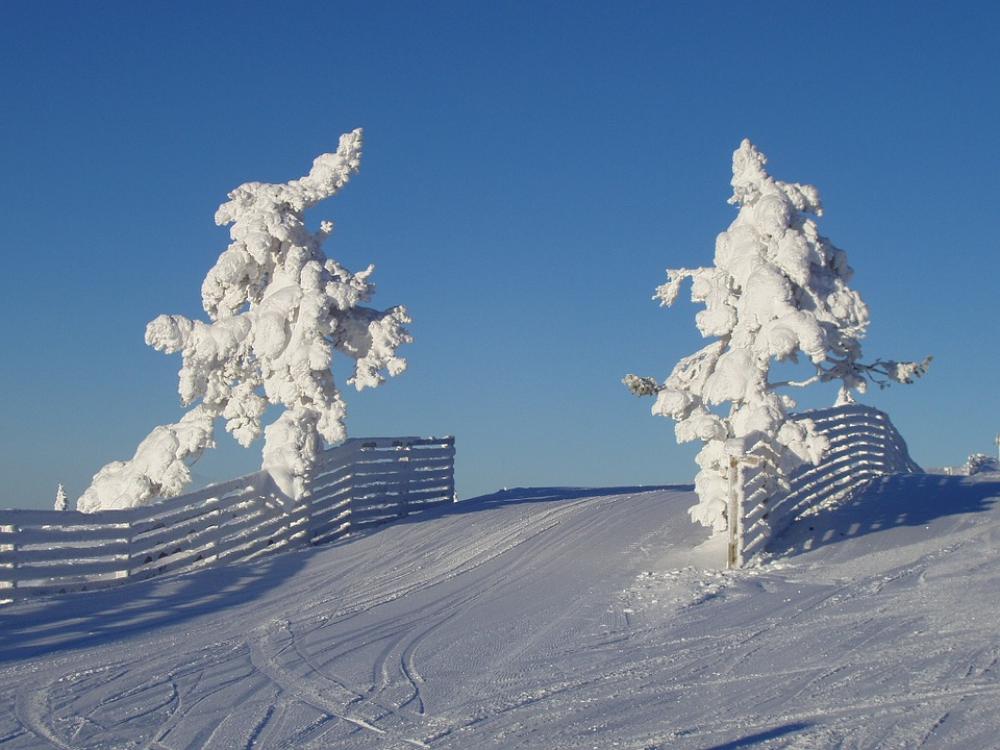 Natural Winter Snow 1 Natural Winter Snow 1