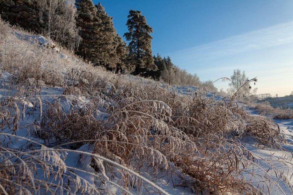 Nature Forest Winter Snow Leann Frost Landscape Nature Forest Winter Snow Leann Frost Landscape
