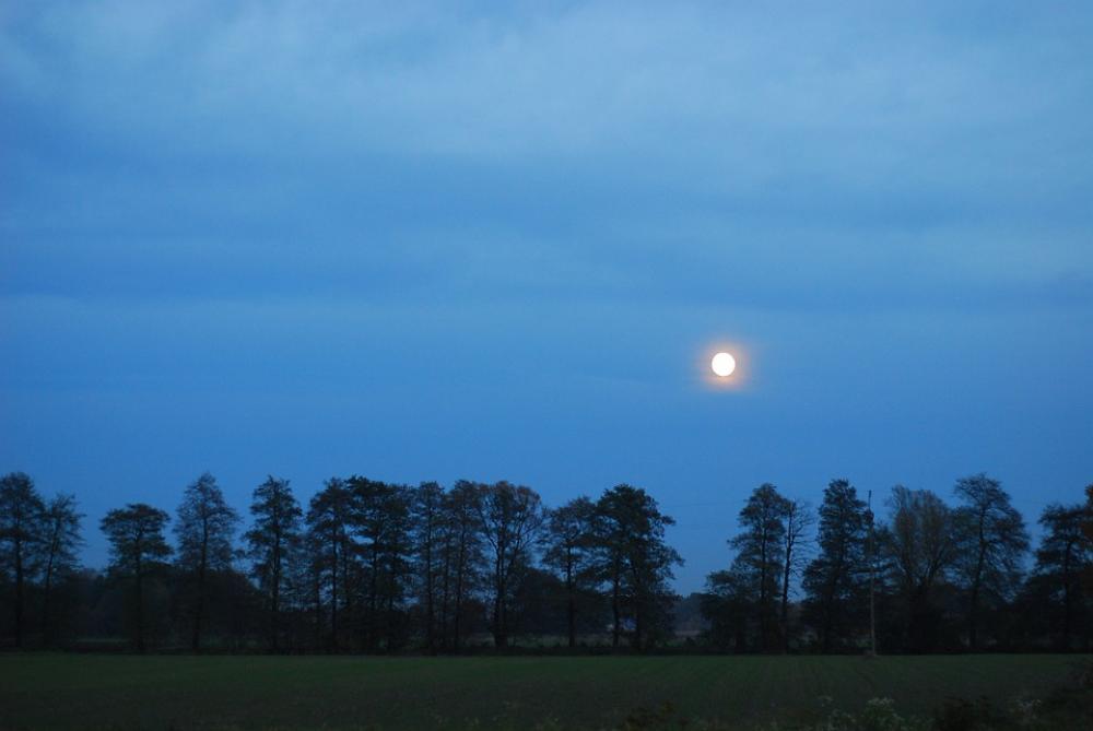 Nature Landscape Tree Scenery Poland Sky Quiet Nature Landscape Tree Scenery Poland Sky Quiet