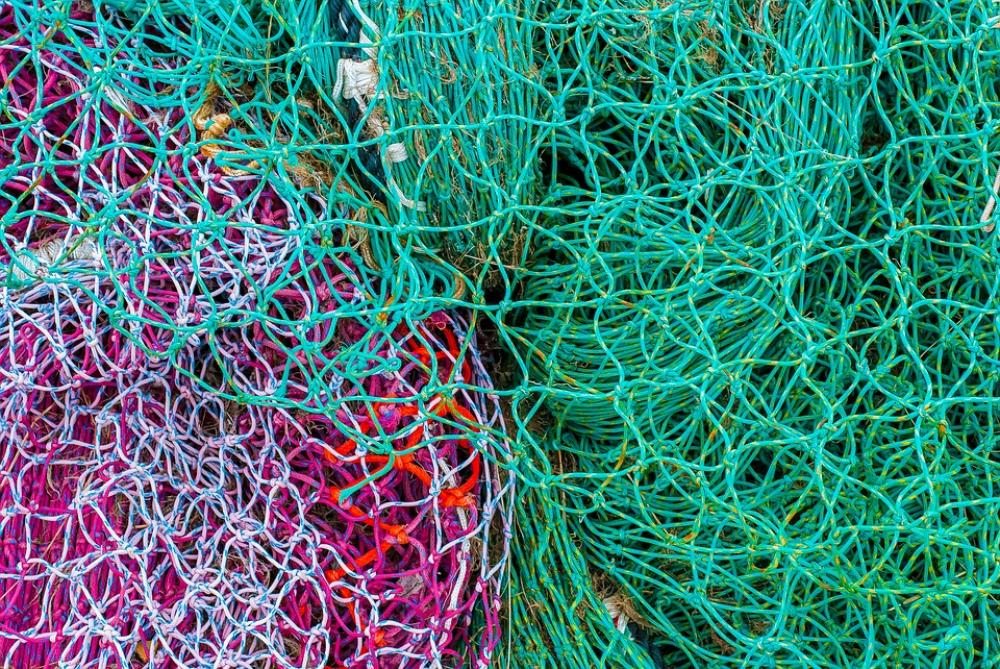 Net Fishing Color Hook Nature Net Fishing Color Hook Nature