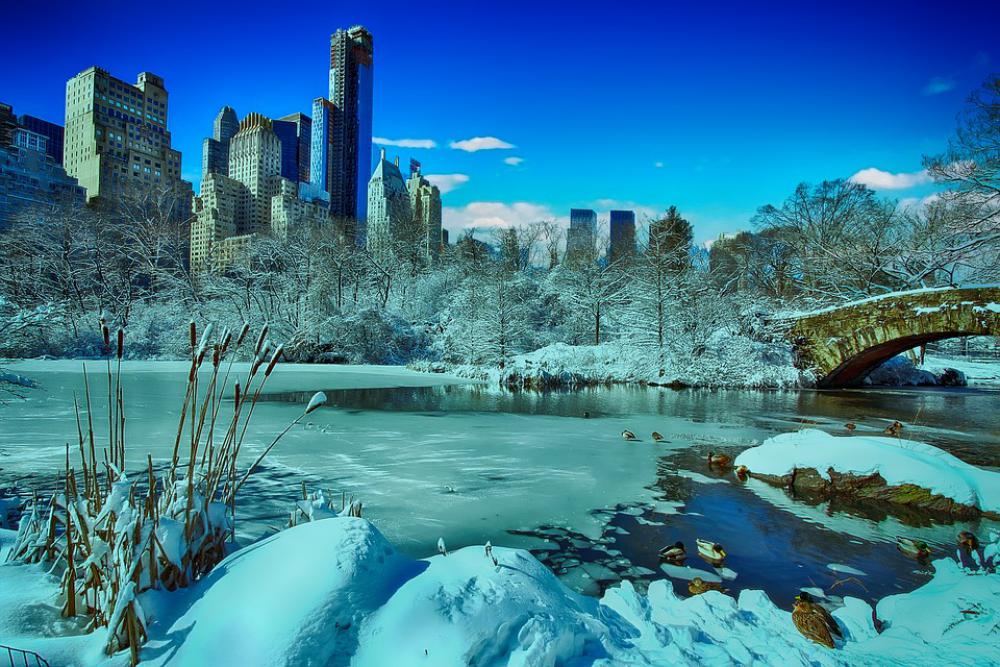 New York Central Park Winter Manhattan Skyline New York Central Park Winter Manhattan Skyline