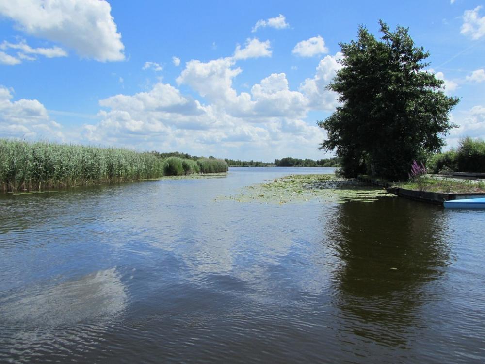 Nieuwkoopseplassen Water Nature Natural Water Flow Nieuwkoopseplassen Water Nature Natural Water Flow