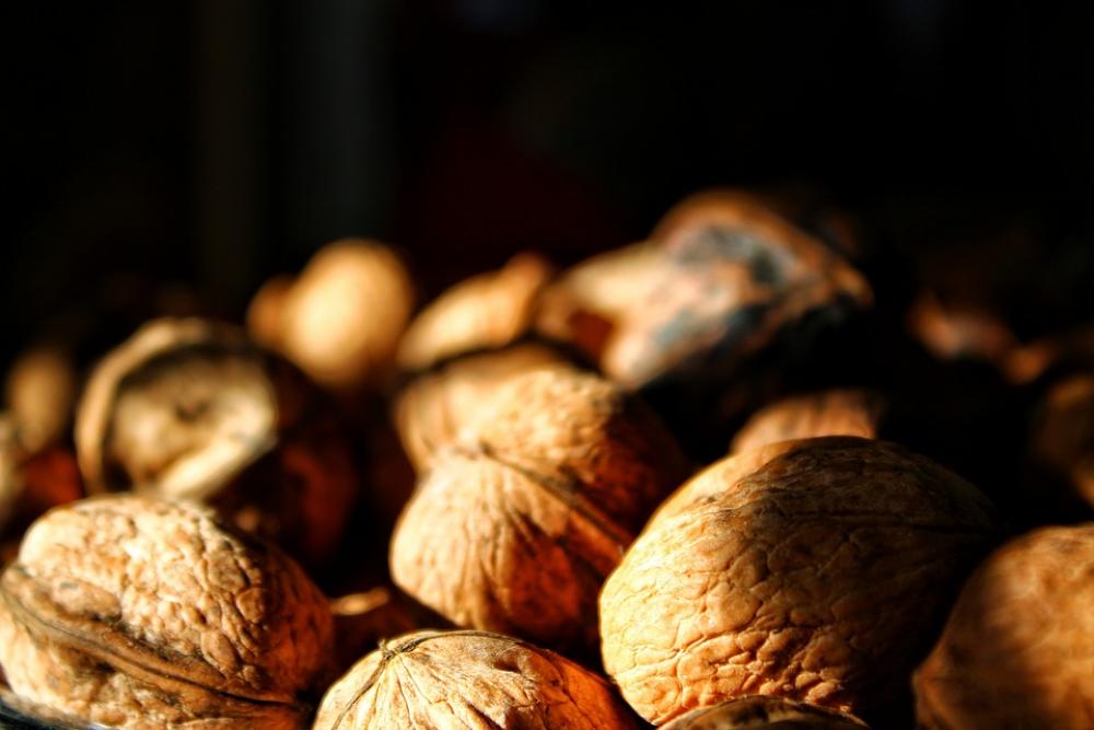 Nogueira Frutos Secos Alimentos Saudável Noz Nogueira Frutos Secos Alimentos Saudável Noz
