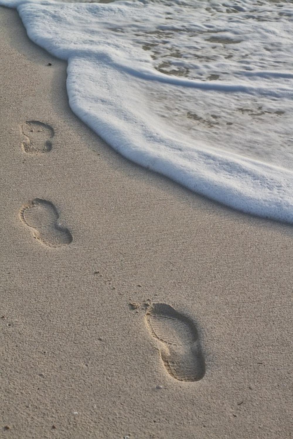 Ocean Not Traces Sea Beach Sand South Ocean Not Traces Sea Beach Sand South