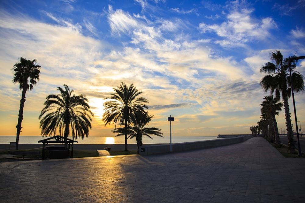 Palm Trees The Sun Beach Beautiful View Sea Ocean Palm Trees The Sun Beach Beautiful View Sea Ocean