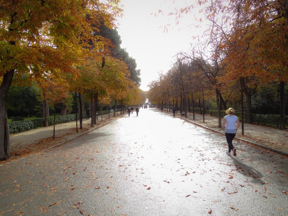 Park Run Running Loneliness Sun Landscape Nature Park Run Running Loneliness Sun Landscape Nature