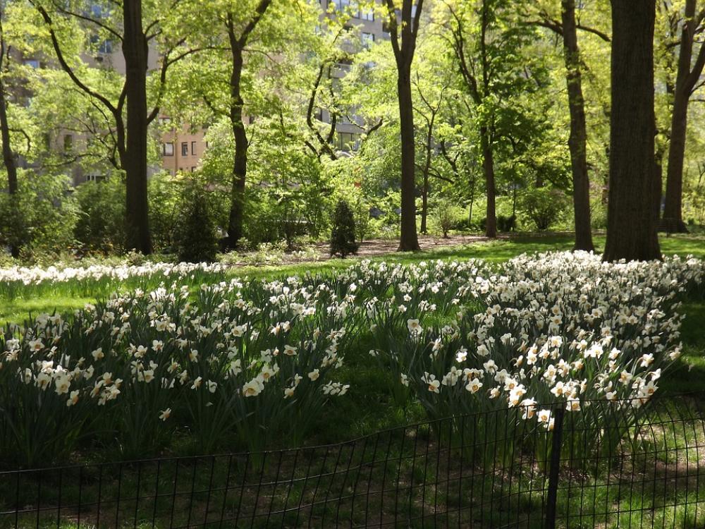 Park Ny Central Park Ny Central