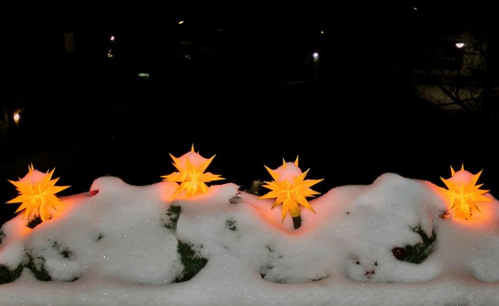 Poinsettia Winter Snow Lighting Shining Poinsettia Winter Snow Lighting Shining
